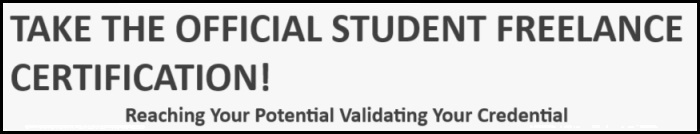 Student Freelance Exam
